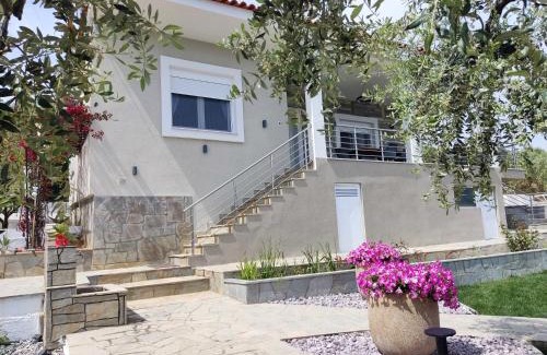 Pangaio Villa | Villa Alexandra