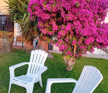 Paceco Bed & Breakfast | villa amodeo