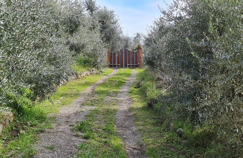 Margine Coperta-Traversagna Villa | Villa among the tuscany hills, surrounded by greenery