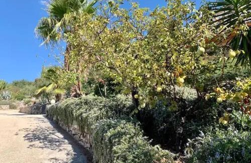 Sutivan Villa | Villa Asteroi'dea - Tiha Mala