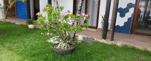 Atalaia Hotel | Villa Atalaia