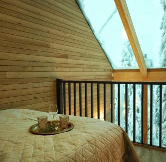 Syote House | Villa Auroras Pöllö