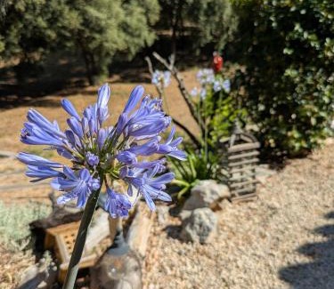 Taradeau House | Villa Bleucassis