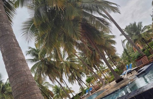 Saly Villa | Villa Bord de mer Avec Piscine Privée