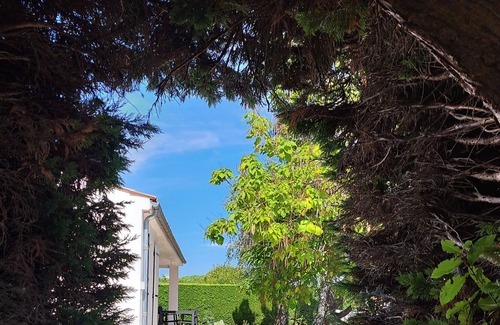 Cheray House | Villa completely renovated with pool and garden 1800m²