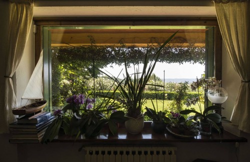 Sutri Villa | Villa Calandrina - Panoramic villa with large garden in Trevignano Romano