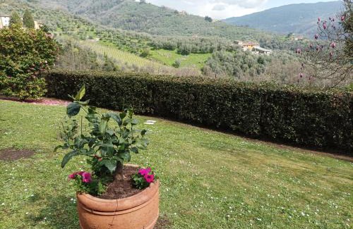 Pescia Villa | Villa Camelia Tuscany