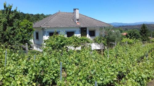 Panton Villa | Villa con piscina en Pantòn Ribeira Sacra Galicia Ideal para familias