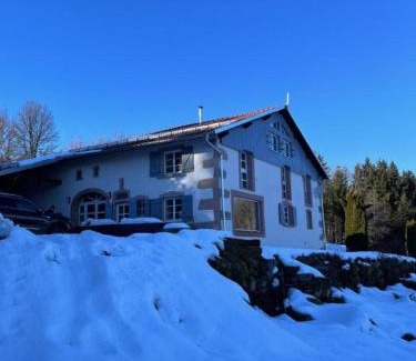 Le Tholy Villa | Villa d'exception LA BELLE DES VOSGES 4 étoiles, bain nordique, sauna, billard etc