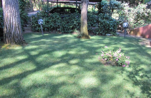 Punta Ala House | Villa de Cuatro Familias con Jardín en el Corazón del Bosque de Pinos