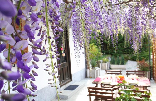 Luino Apartment | Villa dei Fiori