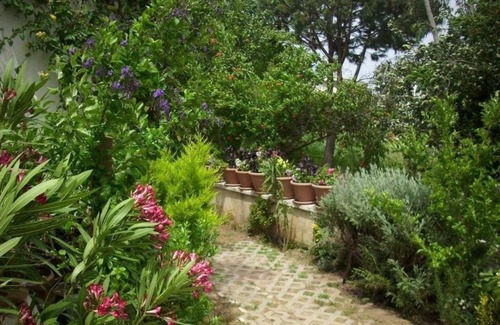 Sogucak Apartment | Villa Demirci 5