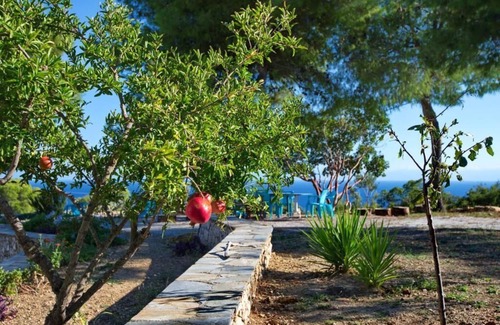 Marpounta Apartment | Villa Flora Views exciting imaginations Upper Floor Terrace Apartment