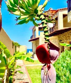 Kassandra Villa | Villa Fourka on the beach