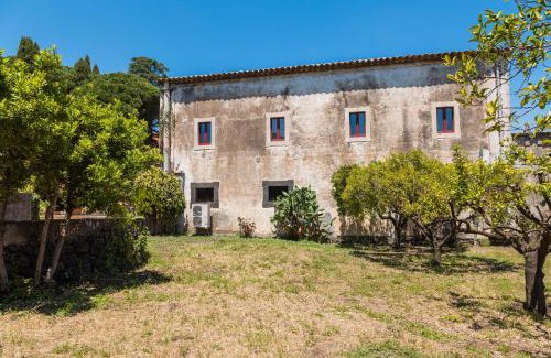 Viagrande Villa | Villa Franca La Casina