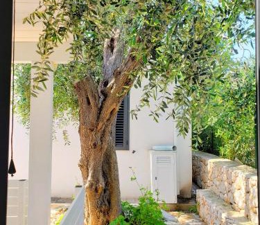Monte Sant'Angelo Apartment | Villa Gargano