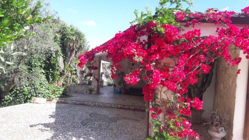 Copertino Villa | Villa immersa nel verde(*Servizi ALL INCLUSIVE*)