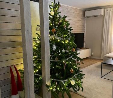 Rovaniemi Villa | Villa Juuris