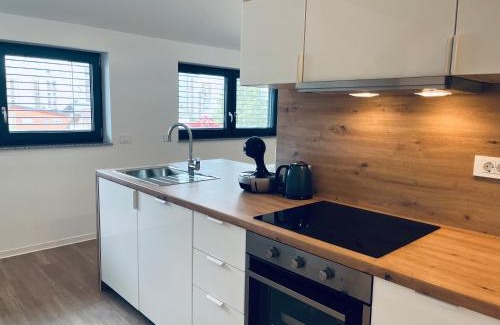 Ljubljana Apartment | Villa Kovačeva 15, app 2, free parking