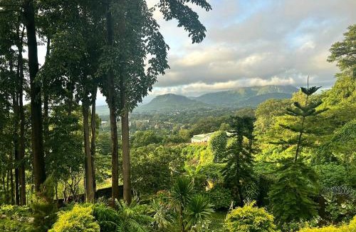 Zomba Bed & Breakfast | Villa Kupa