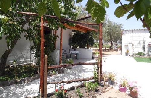 Oliena House | Villa L'Oliveto