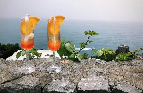 Conca dei Marini Villa | Villa La Birbirella