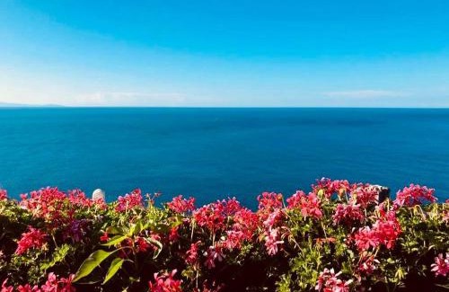 Conca dei Marini Villa | Villa La Birbirella