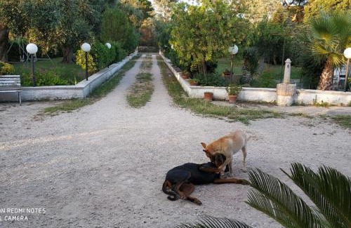 Mesagne House | Villa Maila - Accogliente Villetta con Giardino Privato in Salento