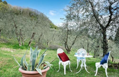Capannori House | Villa Malula a classy house in the countryside