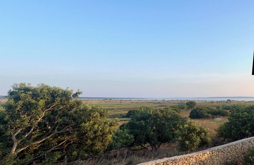 Zrce Villa | Villa Maslina: Rustic villa in an olive grove facing a bird sanctuary