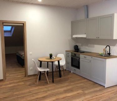 Siauliai City Center House | Villa Midesta