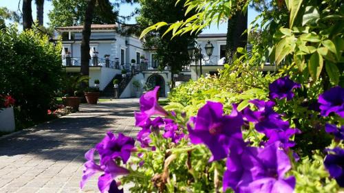 Nola Hotel | Villa Minieri Resort & SPA