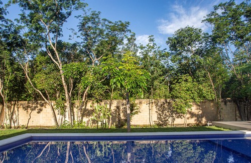 Cozumel House | Villa Moe Private Luxury Jungle Retreat with Pool