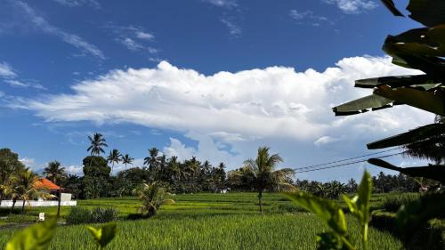 Kedewatan Villa | Villa Neyang