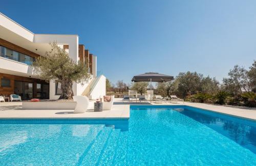 Vodnjan Villa | Villa Old Olive VIII