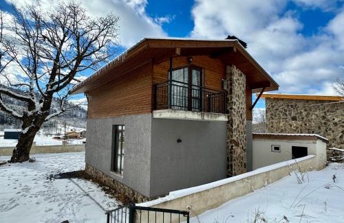 Bakuriani Villa | Villa on the Edge of the Forest