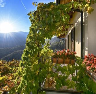Gardola Apartment | Villa Ornella, La Terrazza - Theater Home