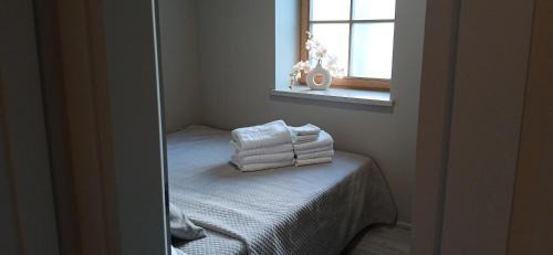 Palanga Apartment | Villa Pine Forest by the Baltic Sea