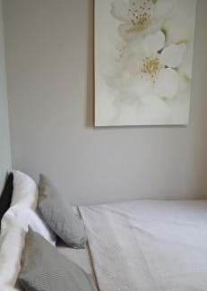 Palanga Apartment | Villa Pine Forest by the Baltic Sea