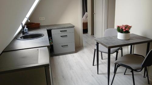 Palanga Apartment | Villa Pine Forest by the Baltic Sea