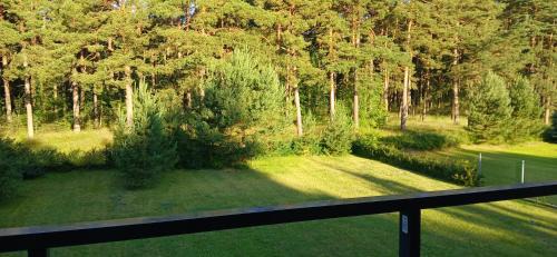 Palanga Apartment | Villa Pine Forest by the Baltic Sea