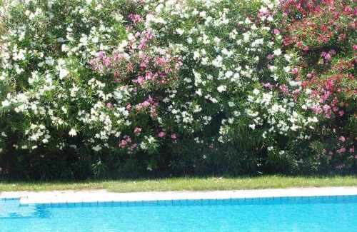 Tavronitis Apartment | Villa Rita Apartments A