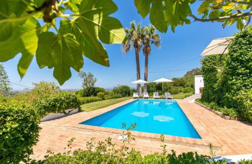 Picota Villa | Villa Saragoça