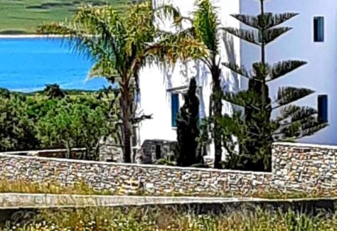 Antiparos Apartment | Villa Sofi in Saint George Antiparos (pool&sea)