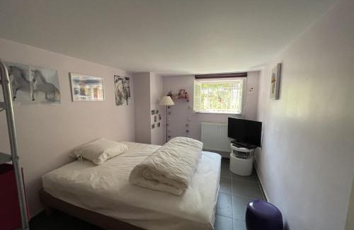 Cabourg House | Villa spacieuse à Cabourg, 200m plage, jardin, 5 chambres, parking, ménage inclus - FR-1-487-359