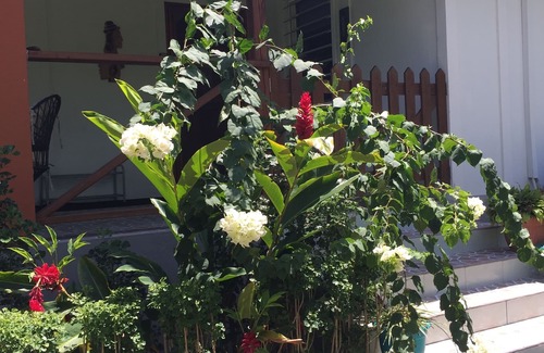 Mount Hope Villa | Villa Toucan, a great place to stay