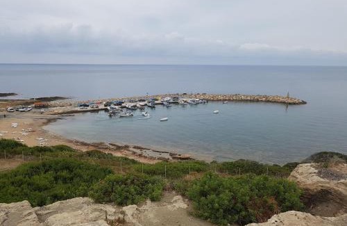 Agios Georgios Pegeias House | Villa Verdi: Luxury villa with private pool