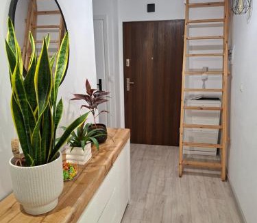 Gniezno Apartment | Villa Vip-pokoje,śniadanie, Apartament
