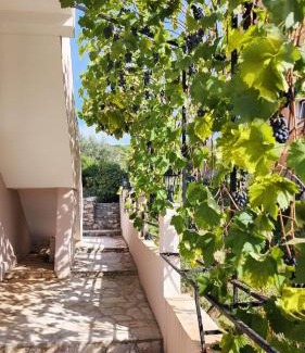 Neodi Apartment | Villa Vukic