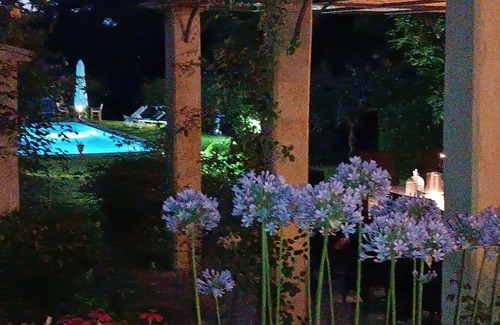 Vorno Villa | Villa XVI sec With salt water pool Wifi A/C in a fenced area
